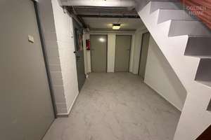 Großzügiges Einfamilienhaus mit Pool auf weitläufigem Grundstück – viel Platz & Privatsphäre – Die vollständige Adresse der Immobilie erhältst du vom Anbieter., 13437 Wittenau, Berlin – Vorschaubild 9