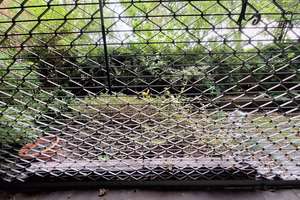 Sofort verfügbar: 2-Zimmer Erdgeschosswohnung mit Terrasse und privatem Garten in Köln-Weiden – Die vollständige Adresse der Immobilie erhältst du vom Anbieter., 50859 Weiden, Köln – Vorschaubild 20
