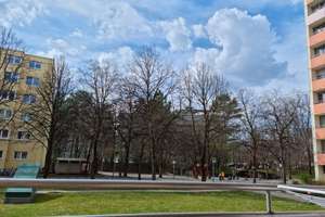 Alltagstaugliche 2-Zimmer-Wohnung mit Balkon in München Perlach – Gerhart-Hauptmann-Ring 7, 81737 Neuperlach, München – Vorschaubild 5