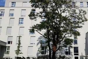 TOP MODERNES VOLL MÖBLIERTES 1 ZIMMER APARTMENT  – Bahnhofstraße 79, 90402 Marienvorstadt, Nürnberg – Vorschaubild 2