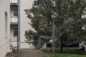 Schöne 2-Zi-WE mit sep. Küche, Laminat, Duschbad in der nördl. Innenstadt (Steintor) – Krausenstraße 18, 6112 Nördliche Innenstadt, Halle (Saale) – Vorschaubild 7