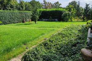 Einziehen und wohlfühlen – Attraktives Einfamilienhaus mit traumhaften Garten – Die vollständige Adresse der Immobilie erhältst du vom Anbieter., 14476 Fahrland, Potsdam – Vorschaubild 5