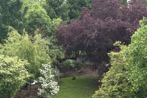 Lebendig wohnen in Oberrad: Saniertes 3-Zimmer-Apartment – Offenbacher Landstraße 398, 60599 Oberrad, Frankfurt am Main – Vorschaubild 23