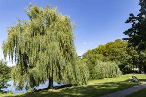 Property thumbnail 31