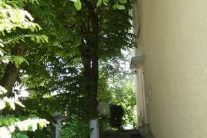Stuttgart-Nord: Sonnige 3-Zimmer-Wohnung in bevorzugter Ausssichtslagemit Balkon – Robert-Bosch-Str. 2, 70192 Lenzhalde, Stuttgart – Vorschaubild 15