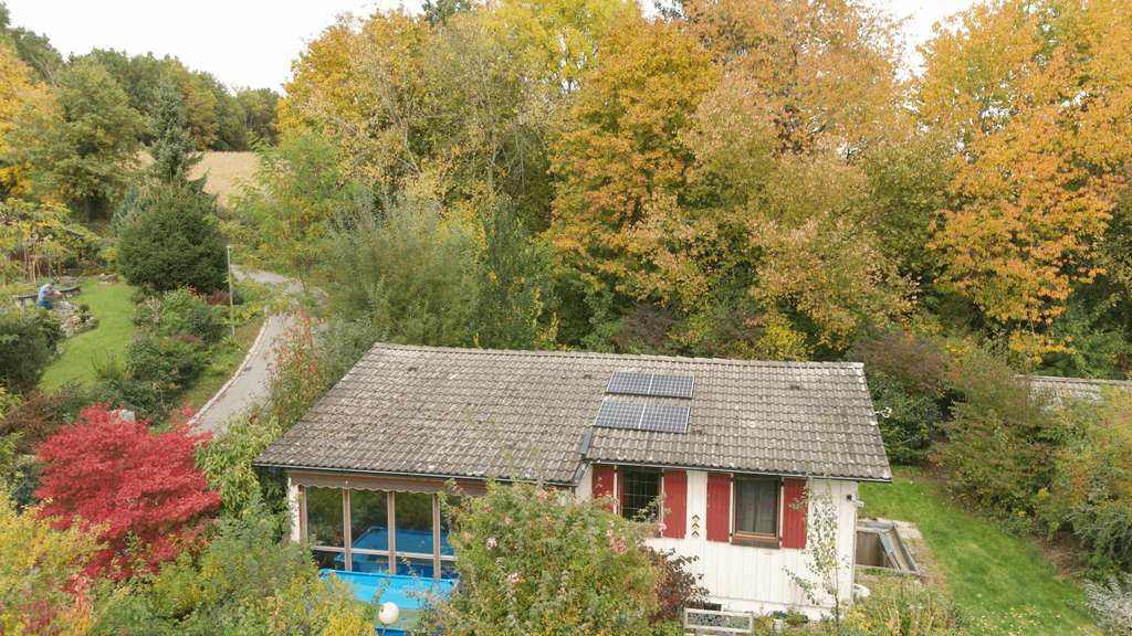 Immobilie in Attenkirchen - Bungalow in ruhiger Lage mit großem Grundstück – Bestand & Neubaupotenzial Einfamilienhaus - Bild 3