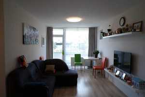 Property thumbnail 8