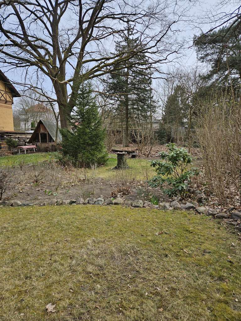 Immobilie in Eichwalde - EFH am Wald auf Erbpachtgrundstück - Bild 3