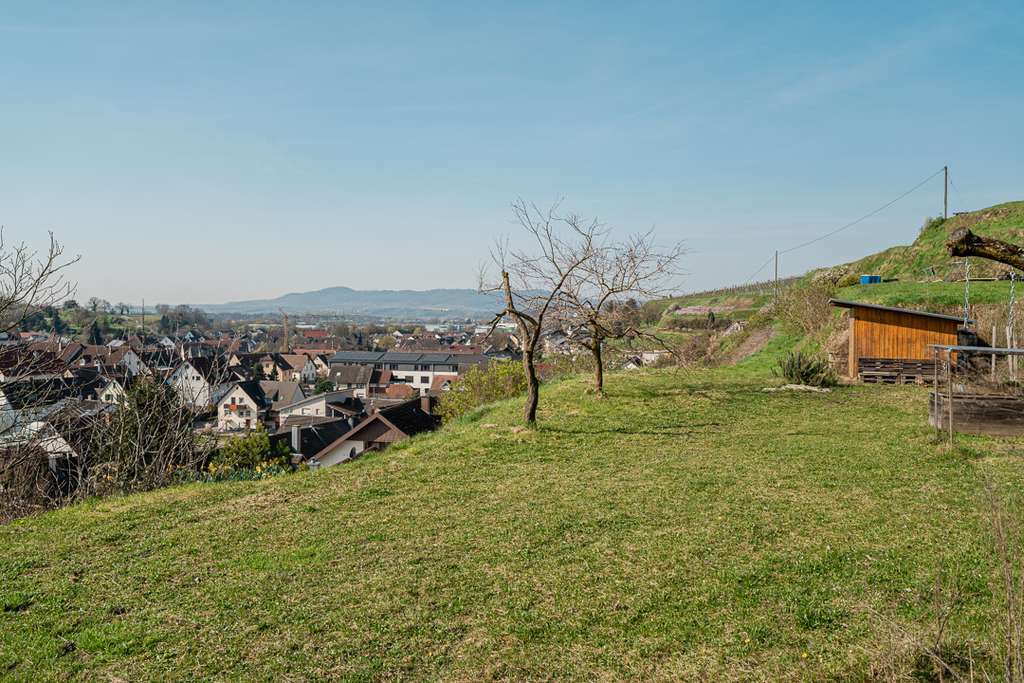 Immobilie in Malterdingen - Zweifamilienhaus in traumhafter Lage! - Bild 3