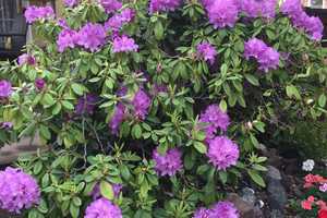 Property thumbnail 32