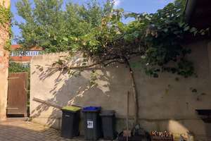 APOLDA - Mehrfamilienhaus mit viel Potential durch Ausbaureserven, Nebengelaß u. Zufahrt – Schulbergstraße 19, 99510 Apolda – Vorschaubild 5