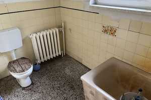 Ehemaliger Obsthof in Plessow – An der B1 13, 14542 Potsdam-Mittelmark (Kreis) – Vorschaubild 13
