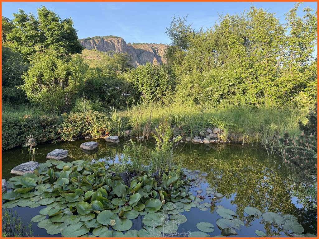 Immobilie in Norheim - Hier erwartet Sie eine sensationelle, nicht vergleichbare Aussichtslage, mit 1380 m² Grundstück! - Bild 1