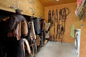 Pferderanch mit drei Wohneinheiten und 2Ha Weideland direkt am Reichswald. – Grafwegenerstraße 16, 47559 Kleve (Kreis) – Vorschaubild 42