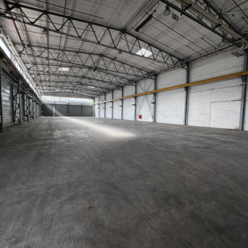 Lager- und Produktionsfläche in Gelsenkirchen | ebenerdig u. Rampen