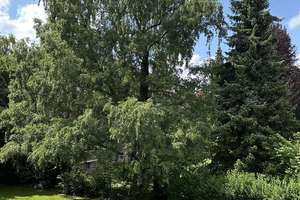 Helle 2,5 Zimmer Wohnung mit großem Balkon in Stadtpark-Nähe