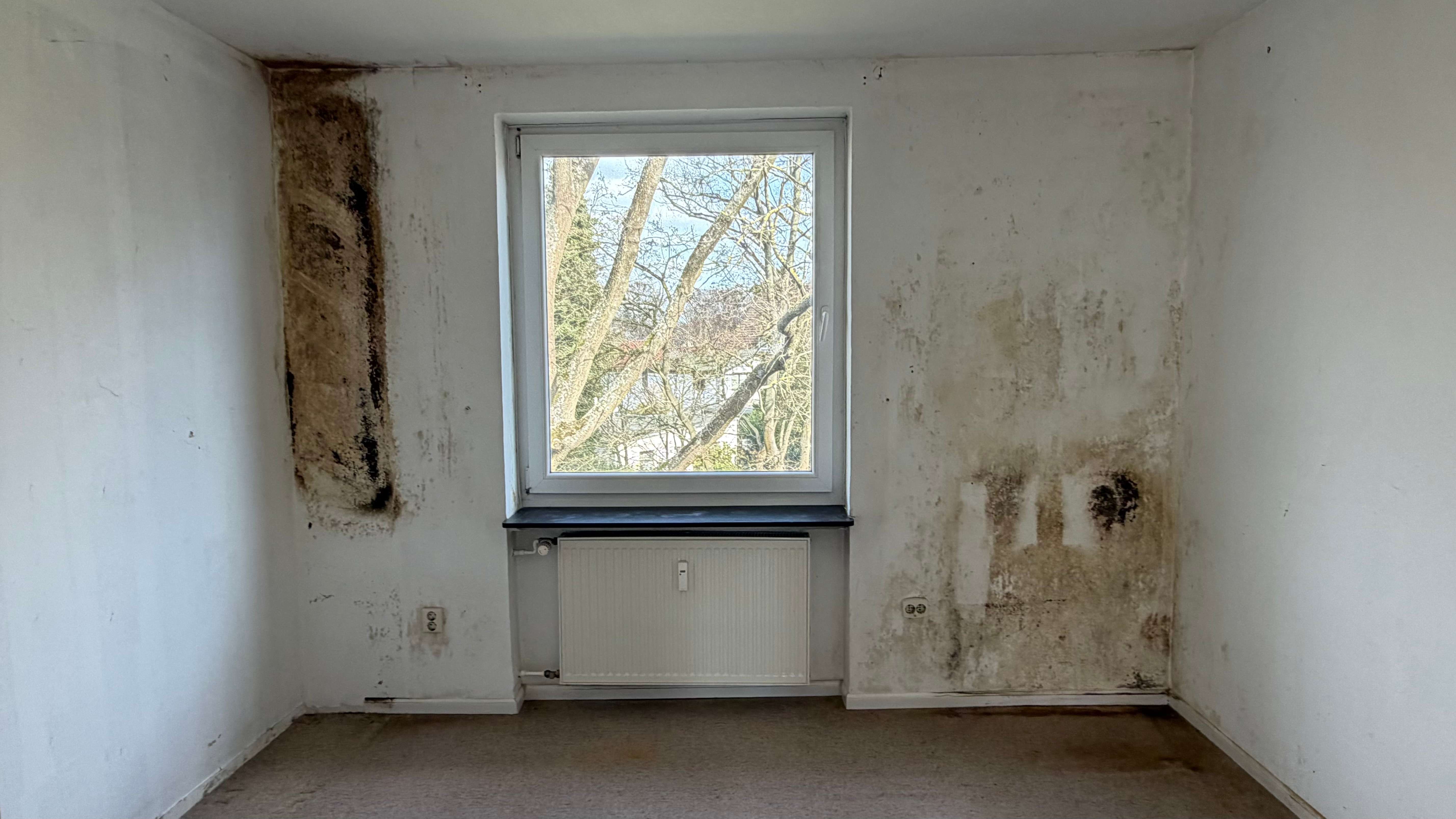 3- Zimmerwohnung mit Balkon und Einzelgarage, Hamburg – Bild 4