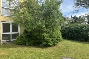 Portfolio mit 3 Wohnungen und 1 Außenstellplatz - Kapitalanlage mit 4,5% Rendite – Floningweg 16, 12107 Mariendorf, Berlin – Vorschaubild 11