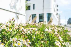 Property thumbnail 11