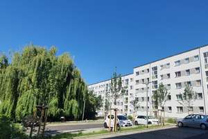 Südvorstadt - ruhige Seitenstraße: 2-Zi.-Wohnung mit Balkon – Geinitzstraße 3b, 1217 Südvorstadt-Ost, Dresden – Vorschaubild 8