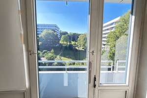 Provisionsfrei: Helle 2-Zi.-Whg. mit Balkon (Siebengebirgsblick), separater  Küche, TG-Stellplatz – Peter-Schwingen-Straße 2, 53177 Muffendorf, Bonn – Vorschaubild 17