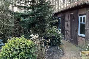 Ihr neues Zuhause im idyllischen Hasetal:
Komfort und Natur genießen! – Emsland (Kreis) – Vorschaubild 12
