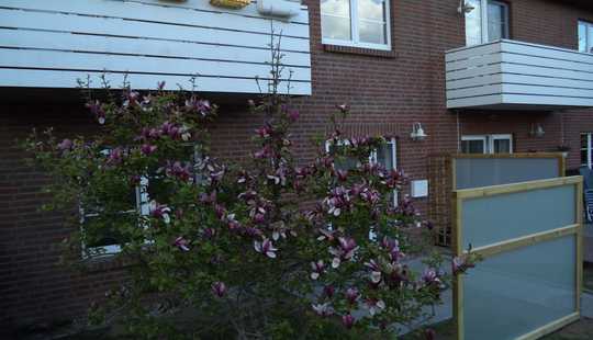 Bild von Schwerin- Görries Neubau mit 8 Miet-Wohnungen. Eine Einheit freiwerden für Käufer!!