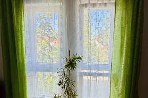 Traumhaft Wohnen mit Südbalkon in ruhiger, grüner Lage! – Die vollständige Adresse der Immobilie erhältst du vom Anbieter., 1219 Leubnitz-Neuostra, Dresden – Vorschaubild 8