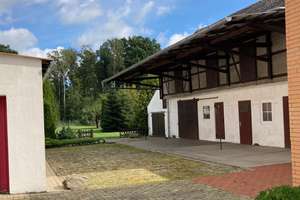 7-Zimmer-Haus mit Nebengebäuden für Gartenfreunde – Die vollständige Adresse der Immobilie erhältst du vom Anbieter., 38467 Bergfeld – Vorschaubild 2