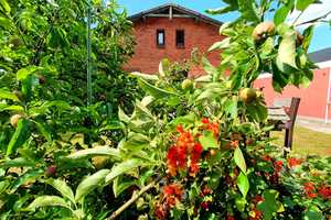 Idylle trifft Perspektive Wohnhaus mit großem Garten & Grundstück – Dorfstraße 25, 24634 Rendsburg-Eckernförde (Kreis) – Vorschaubild 14
