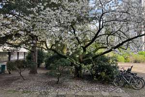 Property thumbnail 9