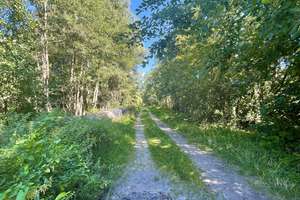 Property thumbnail 32