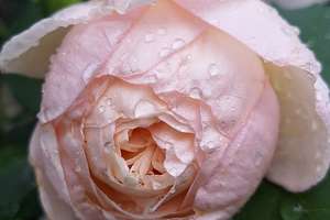 Property thumbnail 35