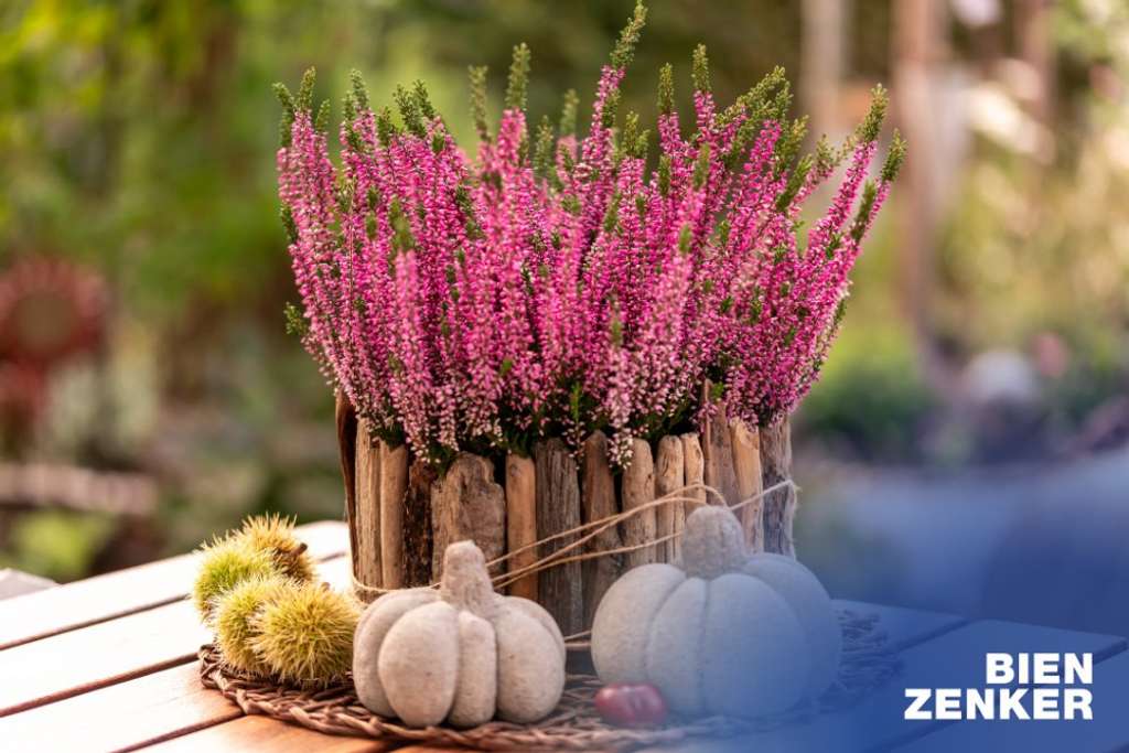 Immobilie in Sohland an der Spree - Ihr maßgeschneidertes Zuhause... - Bild 4