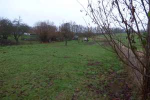 Carinerland / Garvensdorf. – Am Hellbach 4, 18233 Kirch Mulsow – Vorschaubild 20