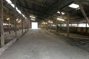 XL-Resthof am Vörder See! 14.013 m² Grundstück - Platz für Tiere & Hobbys – 27432 Bremervörde – Vorschaubild 36
