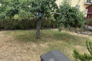Wohnen mit Charakter: Einfamilienhaus in Erlenbach am Main – Die vollständige Adresse der Immobilie erhältst du vom Anbieter., 63906 Erlenbach am Main – Vorschaubild 33