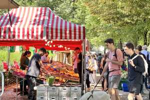 Property thumbnail 14