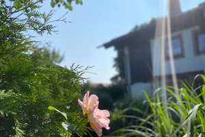 Property thumbnail 51