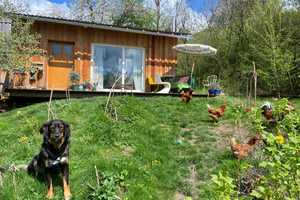 Einzigartiges ÖKO-Tiny-Haus zu verkaufen - Perfekt für gesundheitsbewuste Menschen – Zur Oberen Mühle 12, 88699 Bodenseekreis – Vorschaubild 1