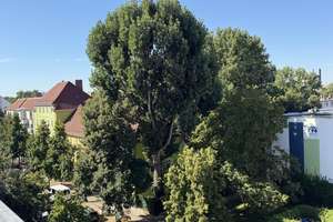 Berlin von privat / Helle 3-Zimmer-Wohnung mit Dachterrasse - Berlin-Baumschulenweg – 12437 Baumschulenweg, Berlin – Vorschaubild 9