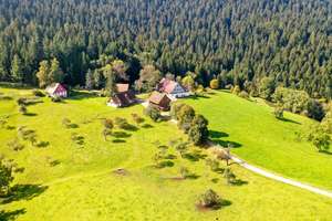 Außergewöhnliches Hofanwesen in Schiltach – Die vollständige Adresse der Immobilie erhältst du vom Anbieter., 77761 Schiltach – Vorschaubild 3