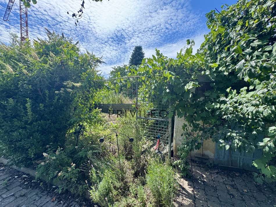 Gartenlandschaft