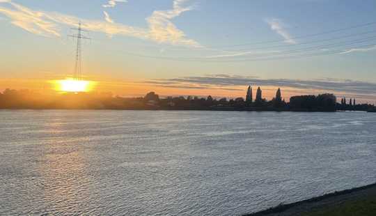 Bild von Idylle am Elbdeich: Topgepflegtes Wohnhaus m. 2 Apartments