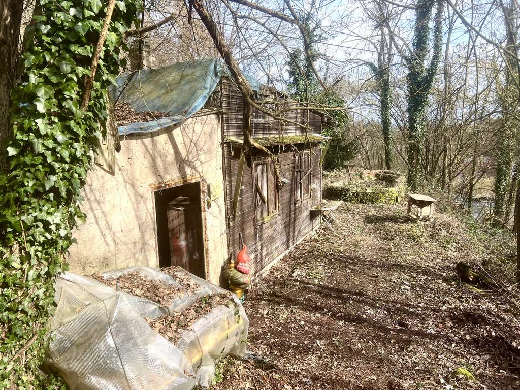 Immobilie in Bad Dürkheim - Schnäppchen für junge Familie mit handwerklichen Fähigkeiten - Bild 2