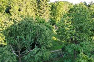 Property thumbnail 31