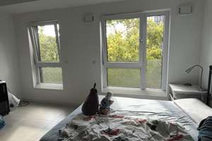 All-inclusive 40 qm Studio-Apartment – 60326 Gallus, Frankfurt am Main – Vorschaubild 4