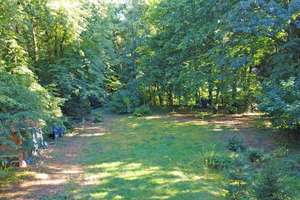 Idyllisches Wohnen auf traumhaftem Waldgrundstück mit eigener Sauna – In der Heide 57, 27367 Sottrum – Vorschaubild 8