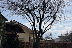 Elegante Villa mit Charme und Großzügigkeit in Laufen – Die vollständige Adresse der Immobilie erhältst du vom Anbieter., 83410 Laufen – Vorschaubild 40