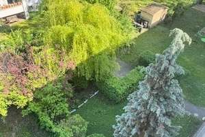 hier wartet echtes Potenzial auf Sie -attraktive 3-Raum-Wohnung mit Terrasse in Stadtfeld – Die vollständige Adresse der Immobilie erhältst du vom Anbieter., 39108 Stadtfeld Ost, Magdeburg – Vorschaubild 6